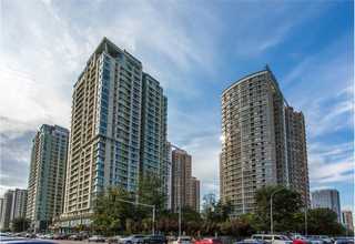 保山金琥珀历史